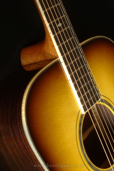 gitara bluegrass